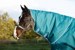 Hot Couverture extérieur Bravo 12 Plus 400g Couvertures Cheval