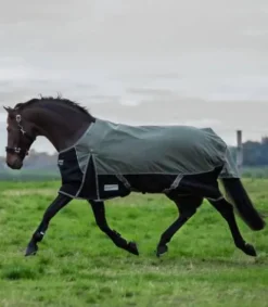 New Couverture extérieur Comfort Line 200G Couvertures Cheval