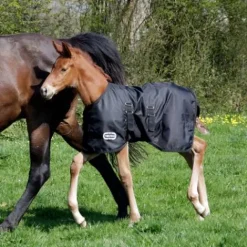 Couverture extérieur poulain 1680D Couvertures Cheval