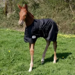 Couverture extérieur poulain 1680D Couvertures Cheval