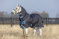 Online Couverture extérieure Amigo Bravo pony plus - - 250g Couvertures Cheval