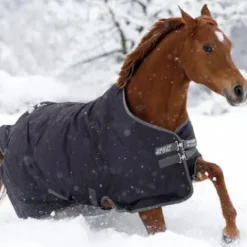 New Couverture extérieure Turnout 600d - Horseware Couvertures Cheval