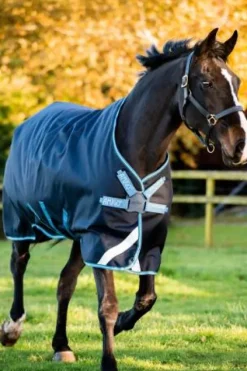 Sale Couverture extérieure Bravo 12 Turnout - Horseware - 100g Couvertures Cheval