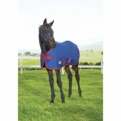 Hot Couverture Foal extérieur Couvertures Cheval