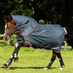 Hot Couverture Horseware Bravo 12 Plus 250 grammes Couvertures Cheval