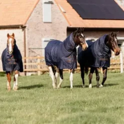 Hot Couverture imperméable All Weather Quick Dry Fleece 0gr avec encolure - Kentucky Couvertures Cheval