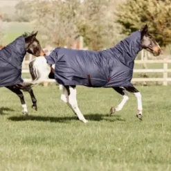 New Couverture imperméable All Weather Quick Dry Fleece 150gr avec encolure Kentucky Couvertures Cheval