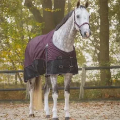 Sale Couverture imperméable 150g 1200D - - Collection automne hiver 2025 Couvertures Cheval