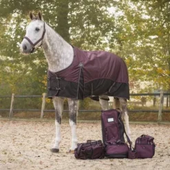 Sale Couverture imperméable 150g 1200D - - Collection automne hiver 2025 Couvertures Cheval