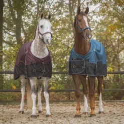 Sale Couverture imperméable 150g 1200D - - Collection automne hiver 2025 Couvertures Cheval