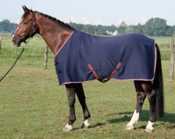 Outlet Couverture jersey séchante Harry's horse Chemises Cheval