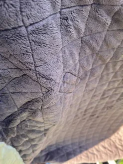 Best Couverture kentucky Couvertures Cheval