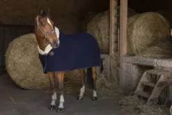 New Couverture laine Teddy - Chemises Cheval