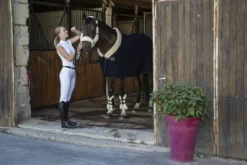 New Couverture laine Teddy - Chemises Cheval