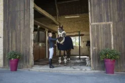 New Couverture laine Teddy - Chemises Cheval