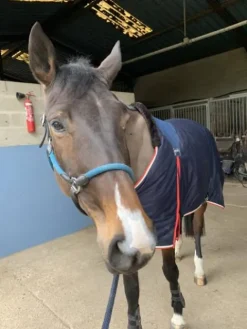 Best Couverture Pénélope Couvertures Cheval