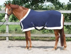 New Couverture polaire - Harry's Horse Chemises Cheval