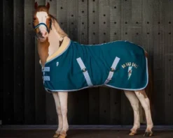 Clearance Couverture polaire thunderbolt poney Chemises Cheval