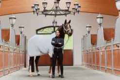 Best Couverture polaire Velvet Crystal Platinum 2023 - Chemises Cheval