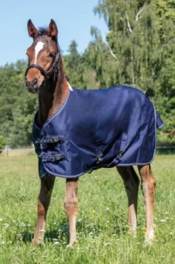 Discount Couverture pour poulain Professional - - Robuste et respirante Couvertures Cheval