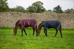 Discount Couverture pour poulains 200g - Horseware - polyester indéchirable Couvertures Cheval