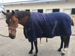 New COUVERTURE COSY Couvertures Cheval