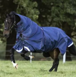 Best Couverture Rambo Optimo imperméable 400g Couvertures Cheval