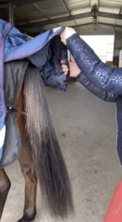 Best Couverture Rambo Optimo imperméable 400g Couvertures Cheval