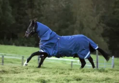 Discount Couverture Optimo Turnout (kit) Couvertures Cheval