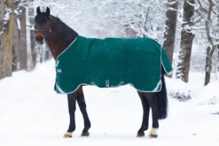 Sale Couure Original extérieur T/O Heavy 400g Couvertures Cheval