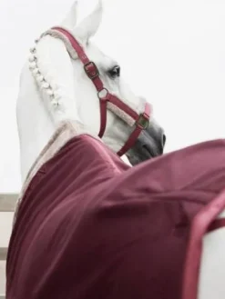 Hot Couverture séchante 3D-Fleece FAUXFUR Classic Sport H/W21 - Chemises Cheval