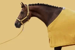 Hot Couverture séchante Fleece Stamped Classic Sport H/W21- Chemises Cheval