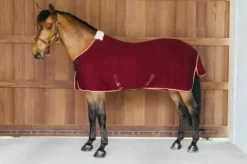 Outlet Couverture séchante PROTherm - KENTUCKY Chemises Cheval