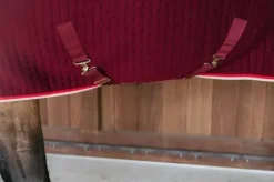 Outlet Couverture séchante PROTherm - KENTUCKY Chemises Cheval