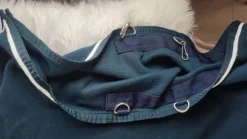 Online Couverture séchante wahlstėn Couvertures Cheval