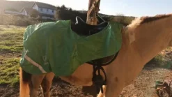 Clearance Couvre rein Couvre-Reins