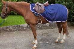 Best Couvre reins anti mouches taille shetland Couvre-Reins