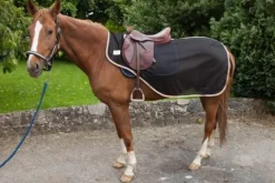 Best Couvre reins anti mouches taille shetland Couvre-Reins