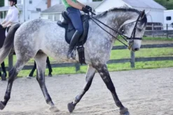 Discount Couvre siège Close Contact Selle CSO Dessus De Selles