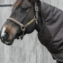 Online Couvre-cou All Weather imperméable pro 150G - Kentucky Couvertures Cheval