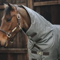 Online Couvre-cou All Weather imperméable pro 150G - Kentucky Couvertures Cheval