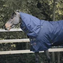 Online Couvre-cou All Weather imperméable pro 150G - Kentucky Couvertures Cheval