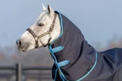 Hot Couvre-cou 1200D Hood 150g - Horseware - Résistant et isolant Couvertures Cheval