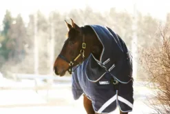 Hot Couvre-cou Duo Hood 100g - Couvertures Cheval