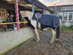 couvre-reins cheval Couvre-Reins