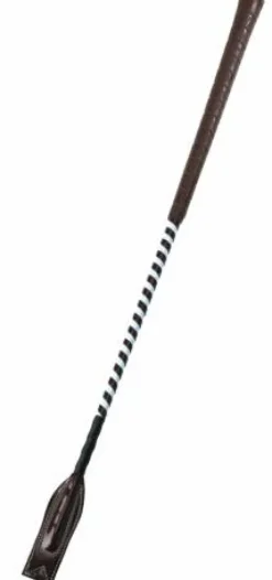 New Cravache Concours Cravaches