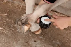 Outlet Crème anti gale de boue Mud Fever Cream - Peau Et Sabots·Gale De Boue