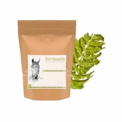 Online Distri'Boswellia - Plante arthrose du cheval Membres·Articulations|Bien-Être Du Cheval·Plantes Pour Chevaux