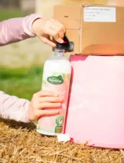 Sale Démêlant Easy Shine - Lustrants Et Démêlants