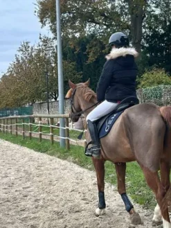 Doudoune pénélope Leprevost Femme Tenue D'Équitation Femme·Parka, Blouson, Doudoune